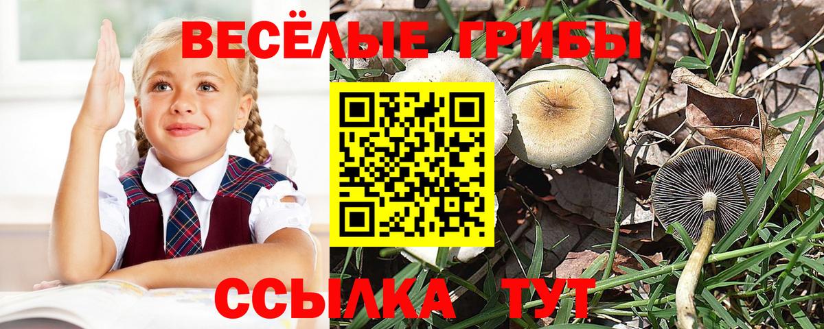 Псилоцибиновые грибы прущие грибы  Вход с VPN  Лангепас  Галлюциногенные грибы MAGIC MUSHROOMS 